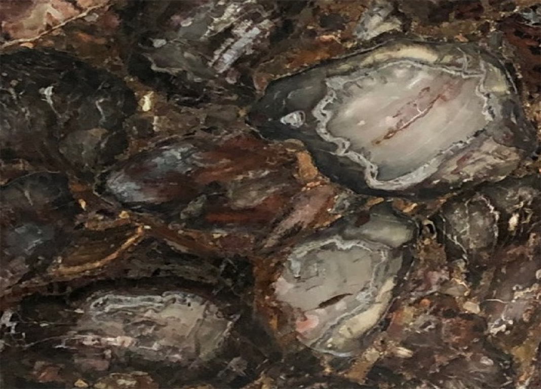 พีทริไฟ วู๊ด (สีดำ)PETRIFIED WOOD (BLACK)